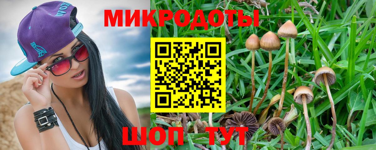 Галлюциногенные грибы Psilocybine cubensis Узловая