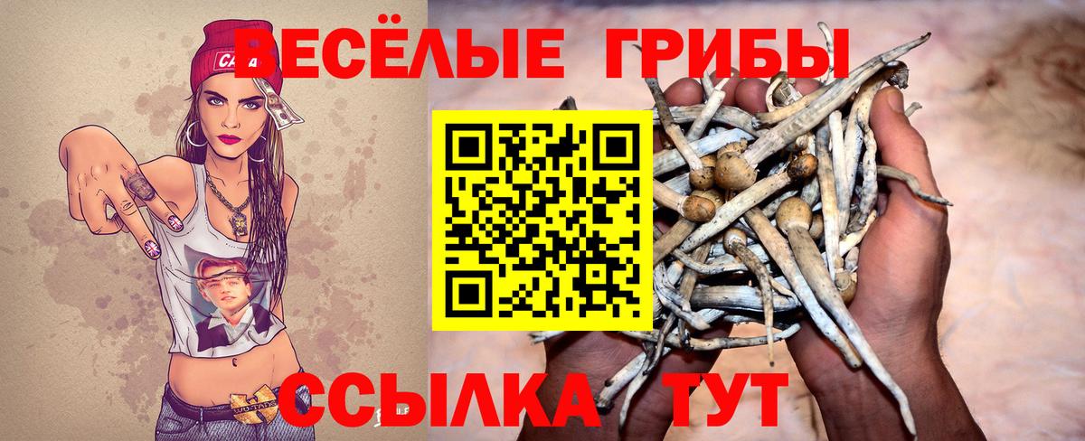 Галлюциногенные грибы GOLDEN TEACHER  Псилоцибиновые грибы мухоморы  Узловая  закладки  Вход с VPN 