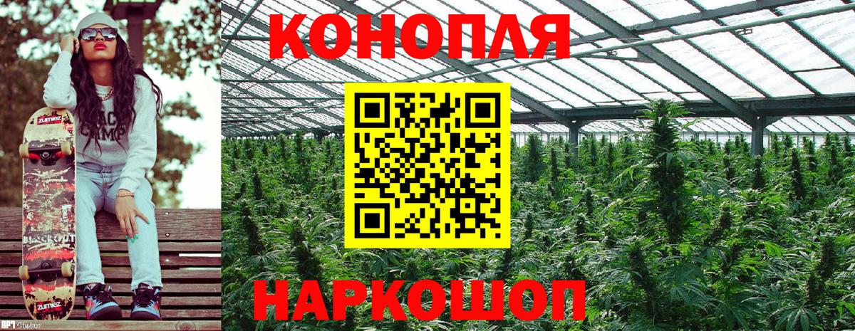 Конопля White Widow Узловая